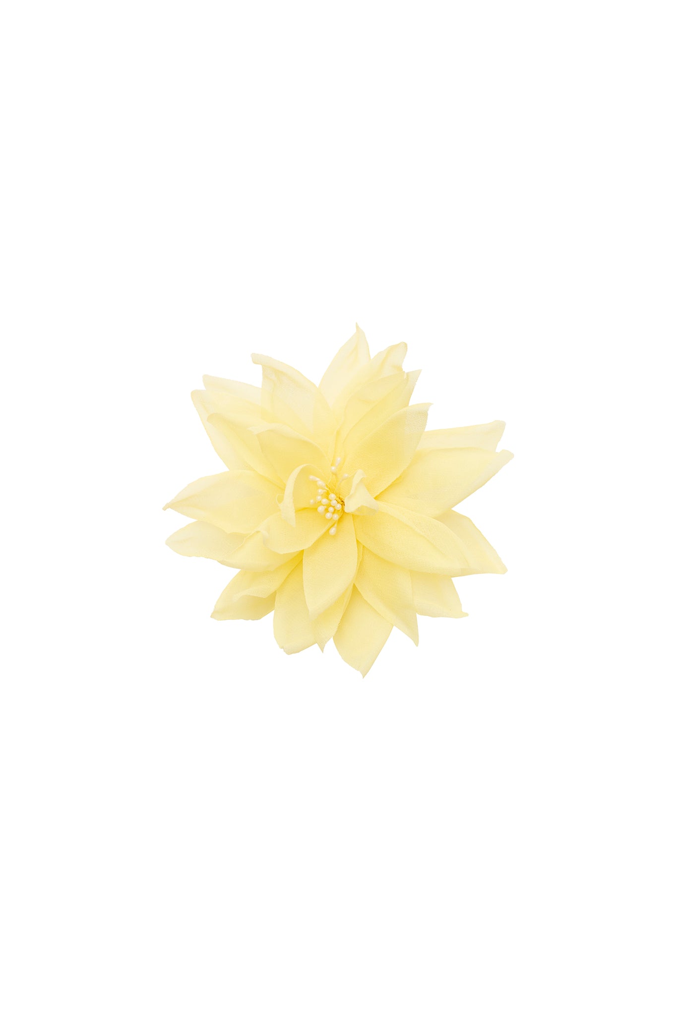Flor de lotus amarela