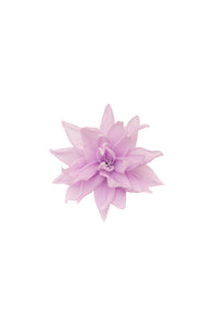 Flor de Lótus lilás