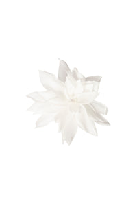 Flor de lotus branca